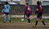 Bologna-Albinoleffe 0-0