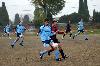 Bologna-Albinoleffe 0-0