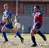 Bologna-Verona 6-0