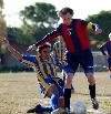 Bologna-Verona 6-0