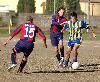 Bologna-Verona 6-0