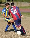 Bologna-Verona 6-0