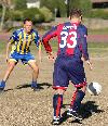 Bologna-Verona 6-0