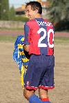 Bologna-Verona 6-0