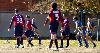 Bologna-Verona 6-0