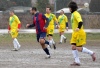 Bologna Mantova 2-1- 12 gennaio 2008 ripresa del campionato e la 